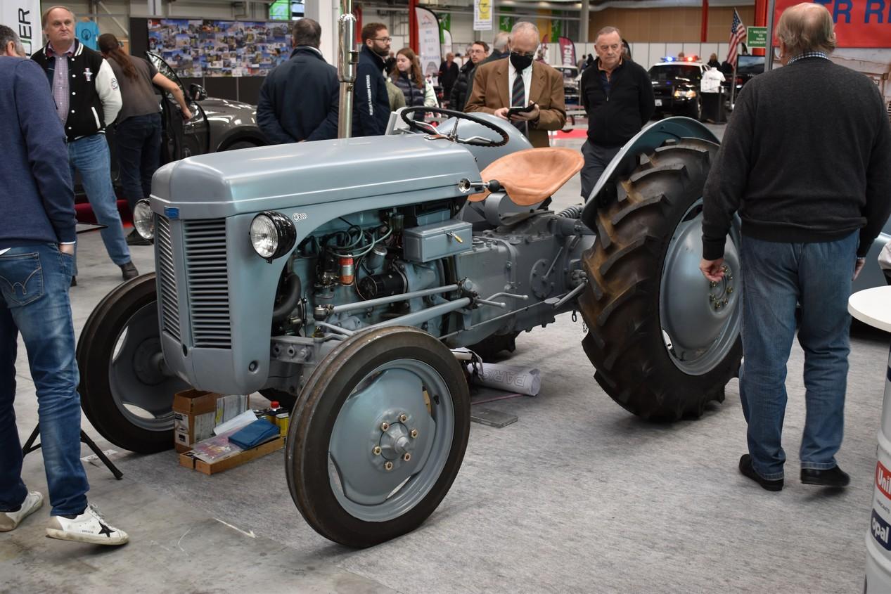 automedon philippe pillon© 10