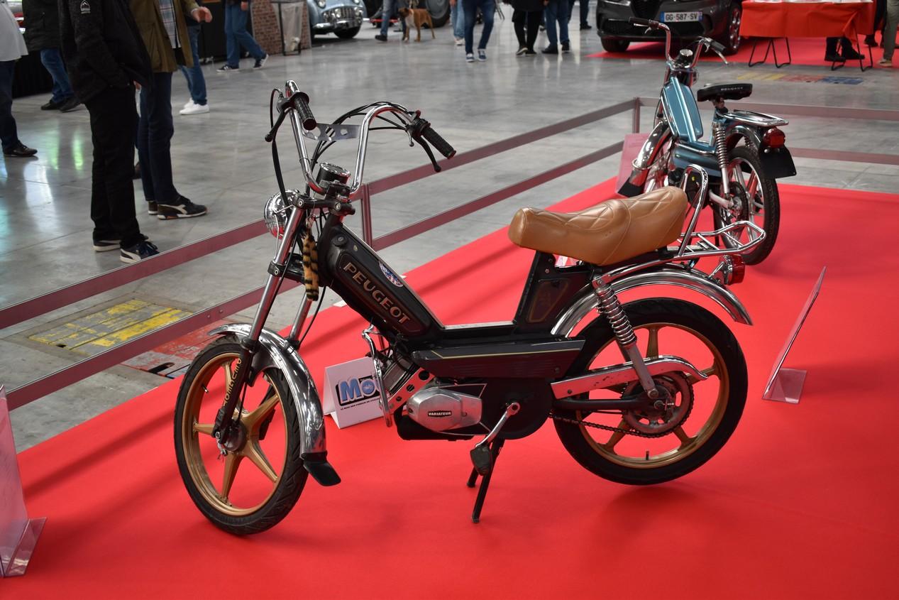 automedon philippe pillon© 105