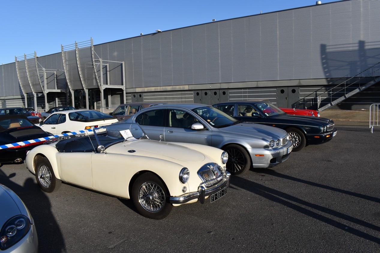 automedon philippe pillon© 42