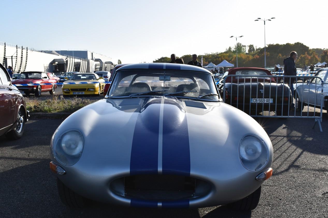 automedon philippe pillon© 44