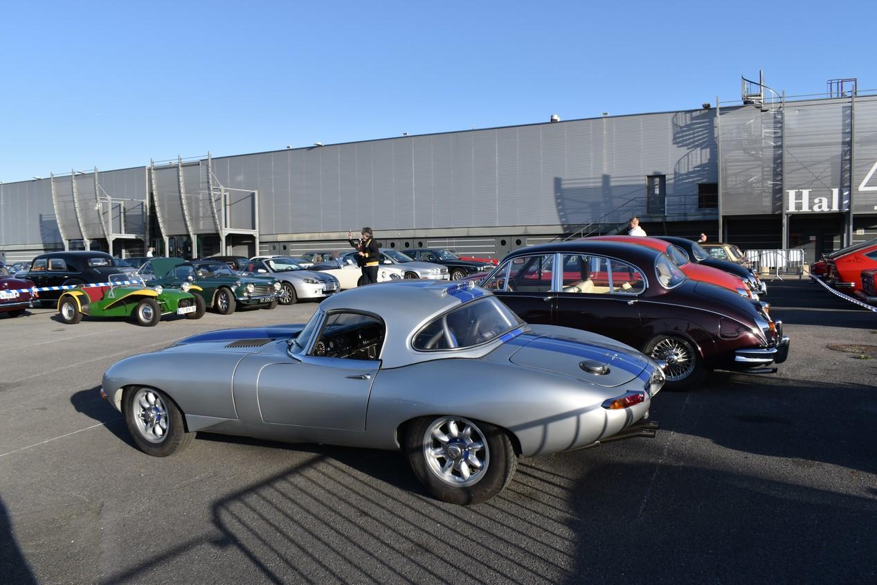 automedon philippe pillon© 46