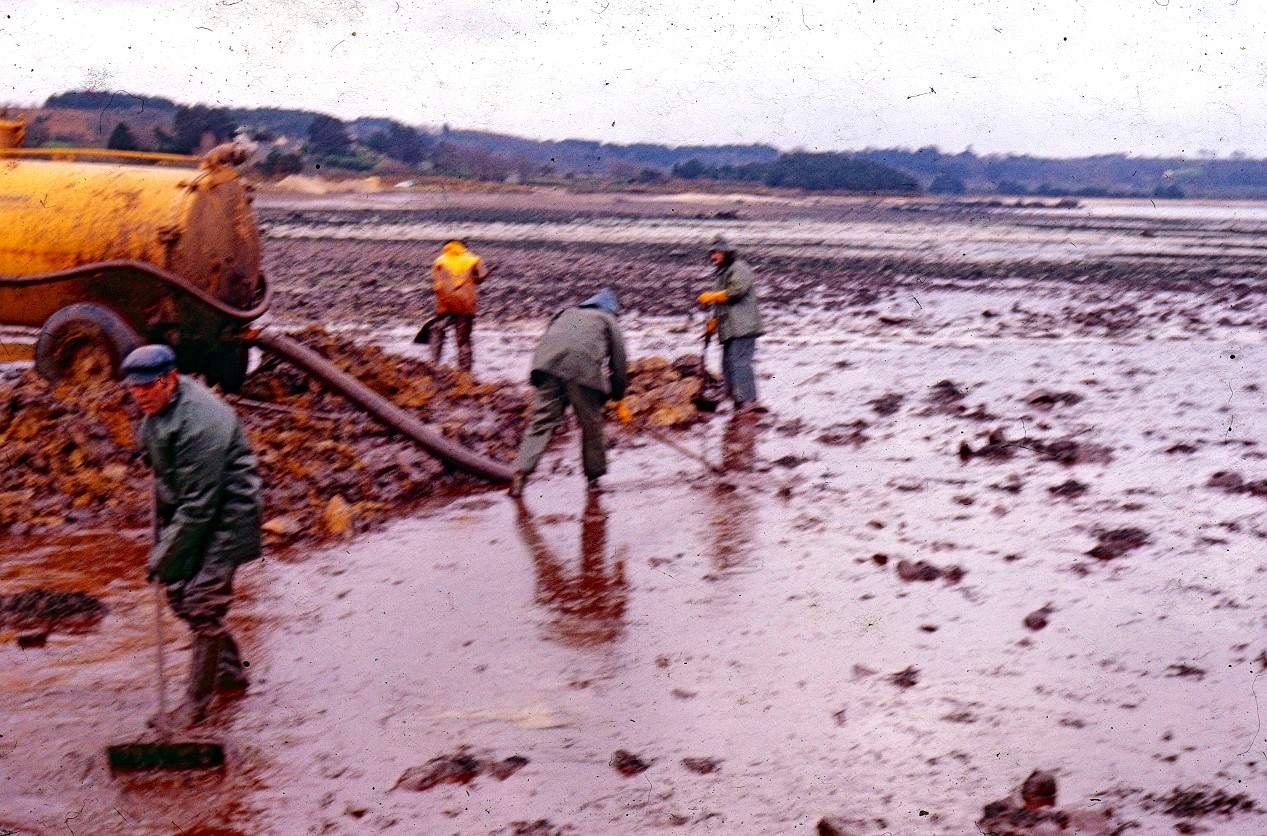 hommes nettoyant le pétrole sur les plages bretonnes après l'échouage du pétrolier Amoco Cadiz le 16 mars 1978