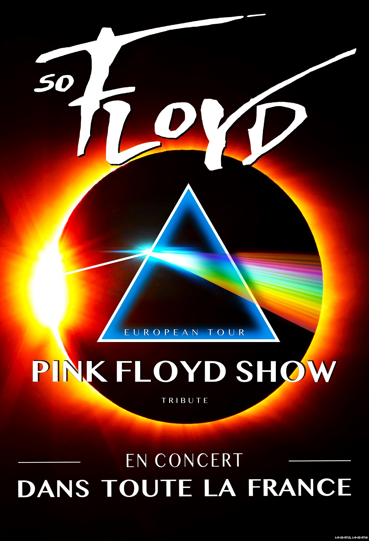 affiche de la tournée du groupe de rock SO FLOYD en 2024