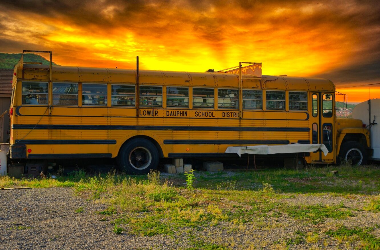 bus americain 2 - Vintage