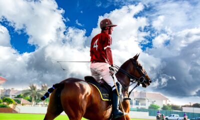 Joueur de polo habillé avec un polo