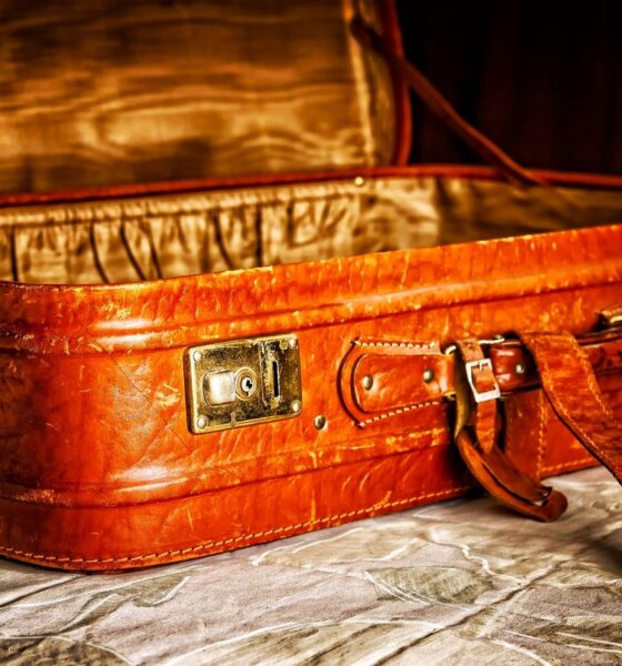 valise vintage