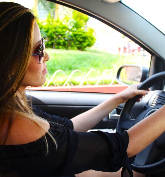 permis auto pixabay
