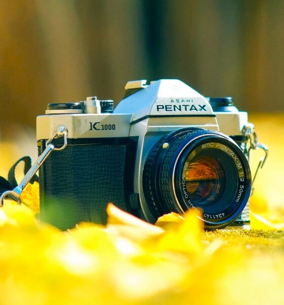 Appareil photo argentique de la marque japonaise Pentax : le modèle Pentax K1000, posé dans des feuilles d'automne, un modèle sorti en 1976 et stoppé en 1997