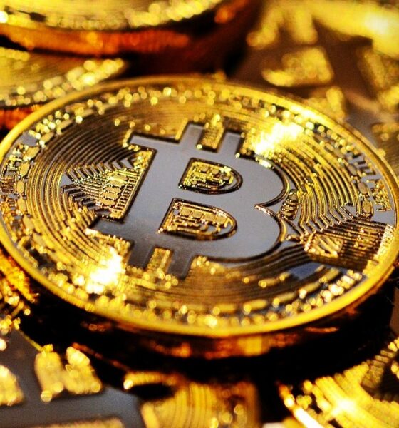 Pièces de cryptomonnaie Bitcoin