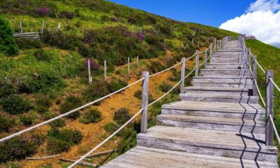 Photo couleurs de l'Auvergne