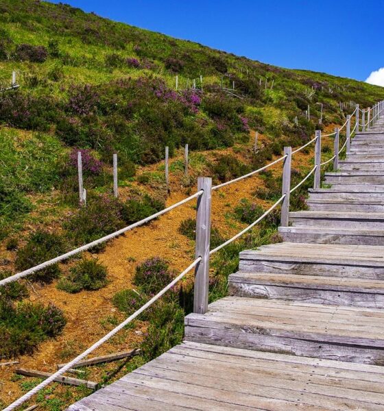 Photo couleurs de l'Auvergne