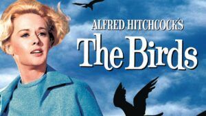 L'actrice américaine Tippi Hedren dans le film Les Oiseaux