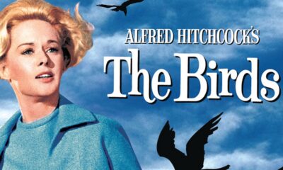 L'actrice américaine Tippi Hedren dans le film Les Oiseaux