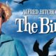 L'actrice américaine Tippi Hedren dans le film Les Oiseaux