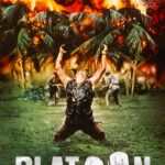 Affiche du film Platoon