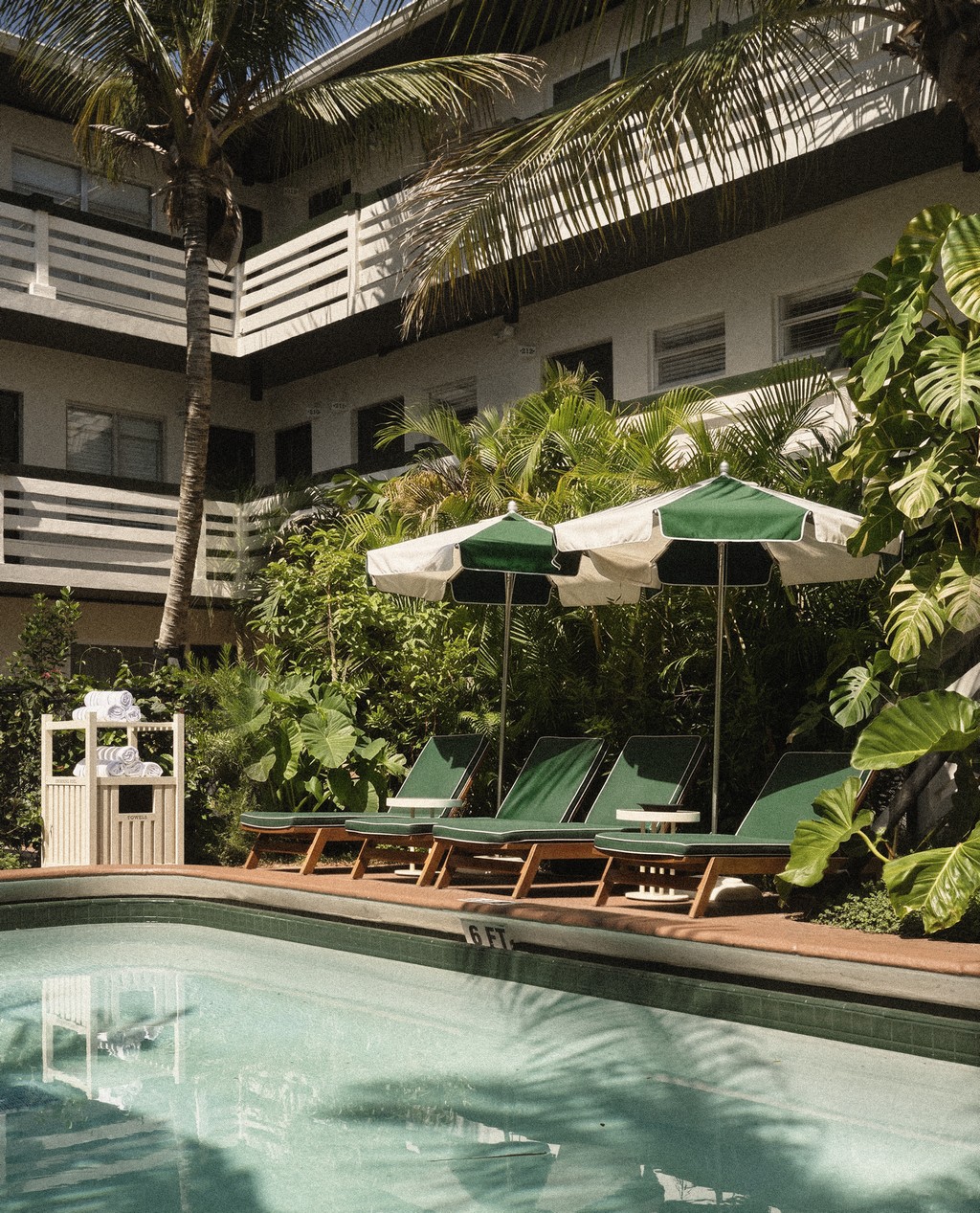 perroquet motel 10