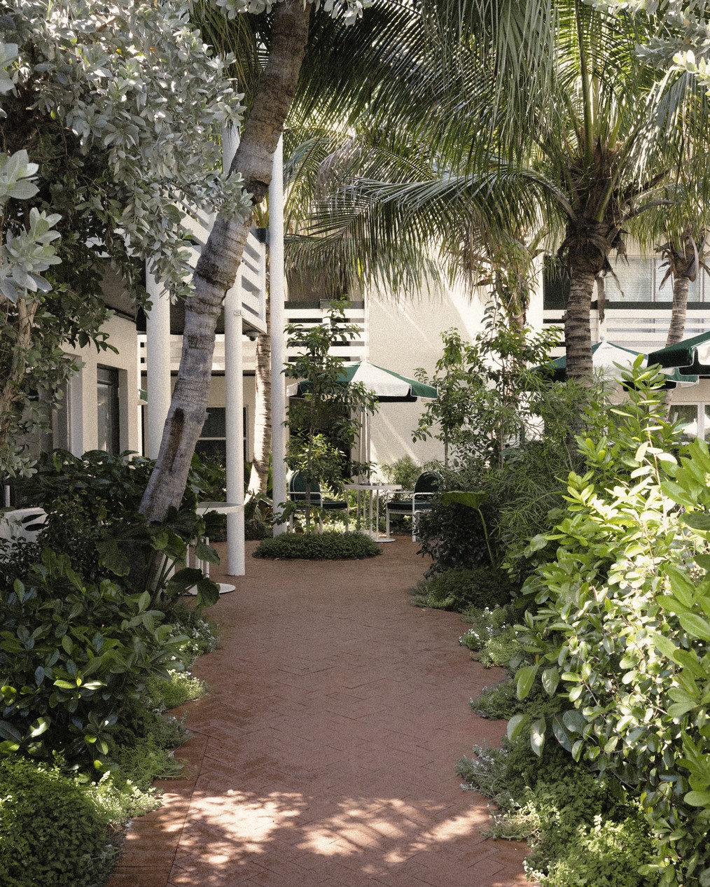 perroquet motel 11