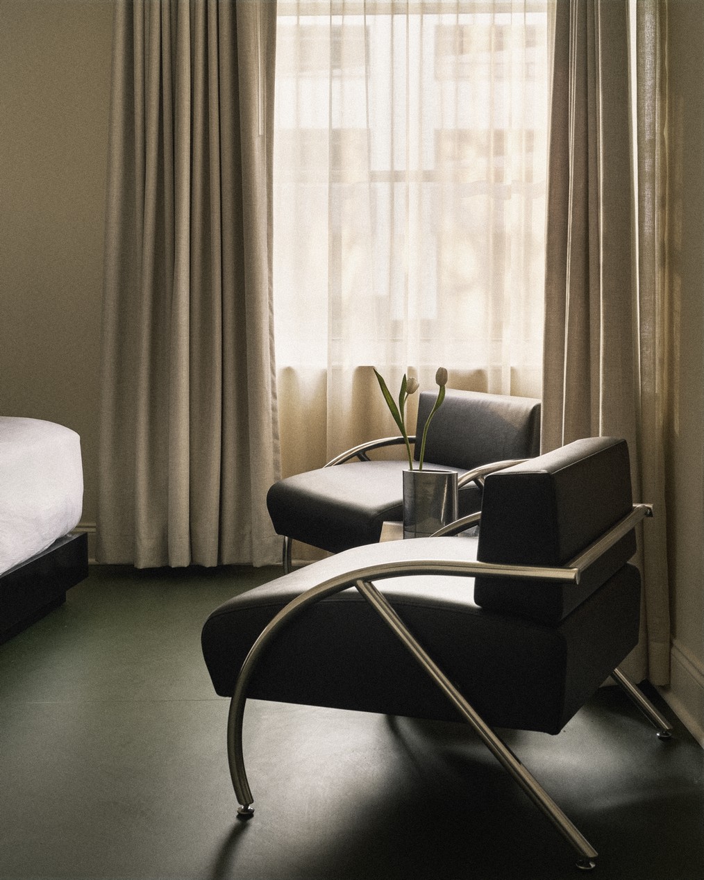perroquet motel 26