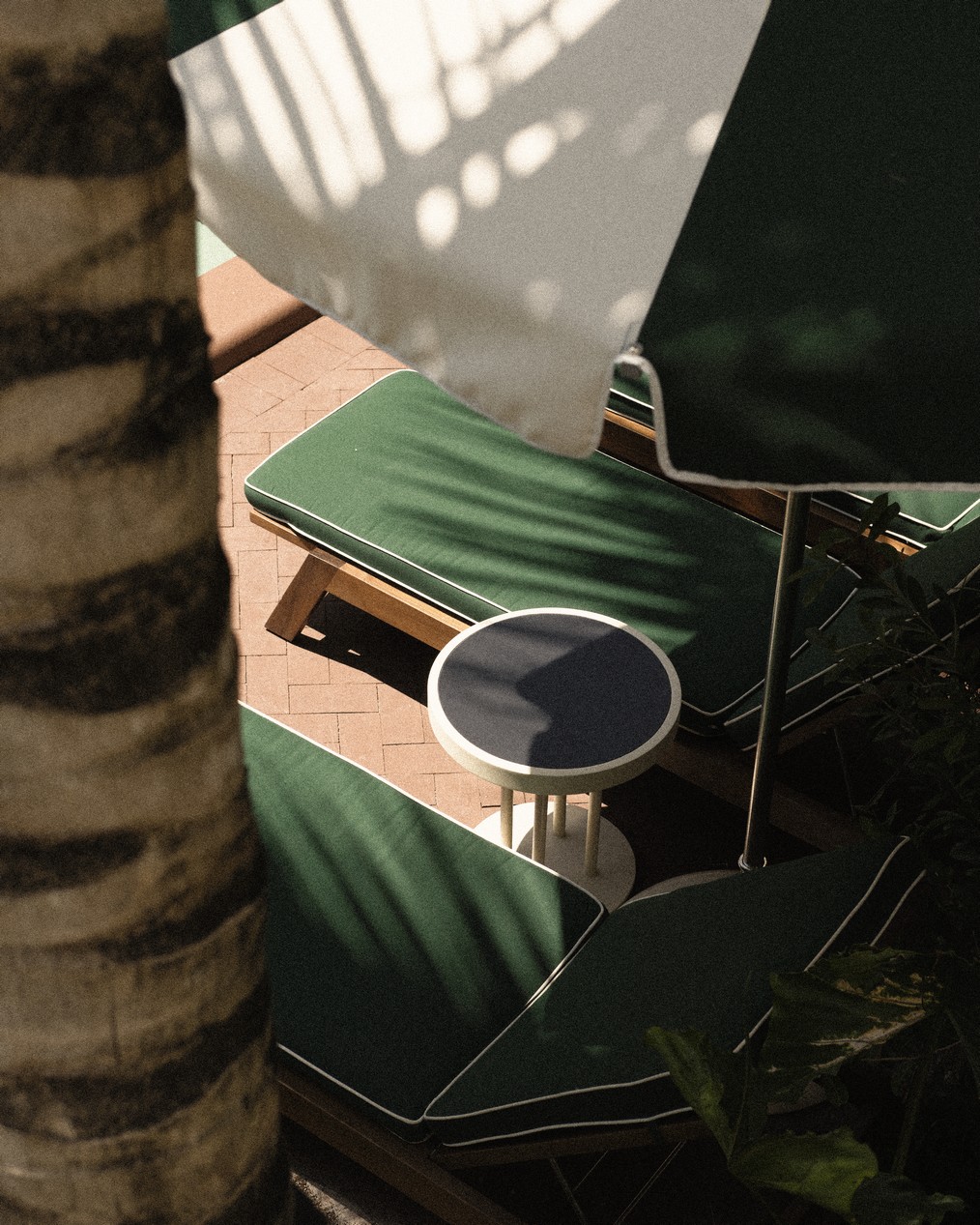 perroquet motel 4