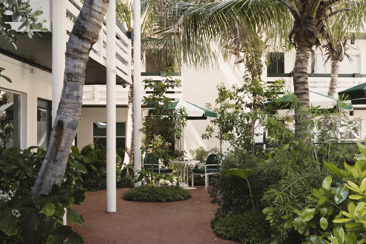 perroquet motel 43