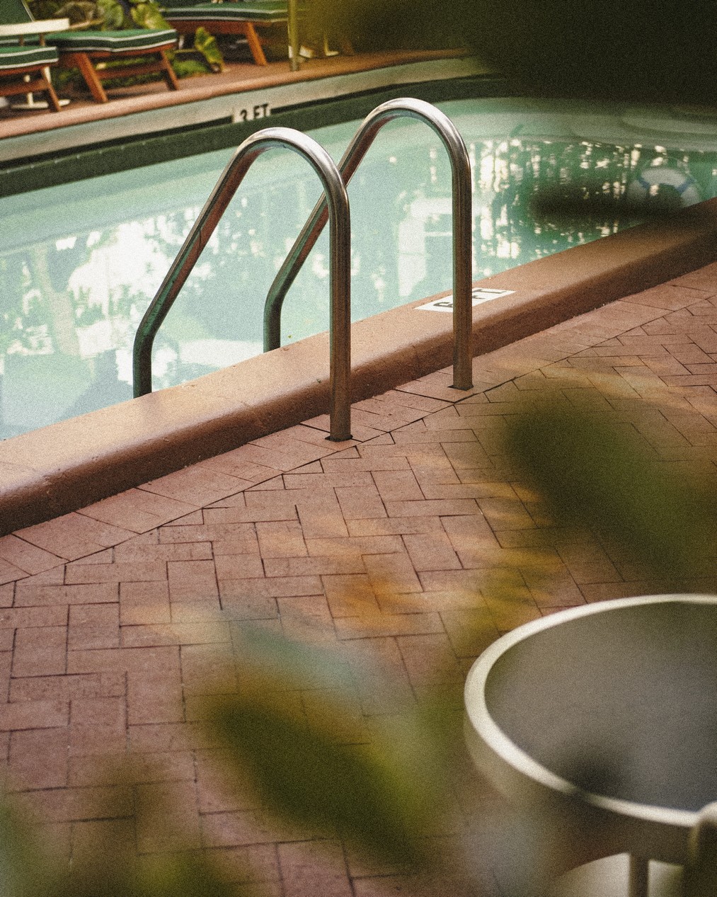 perroquet motel 53