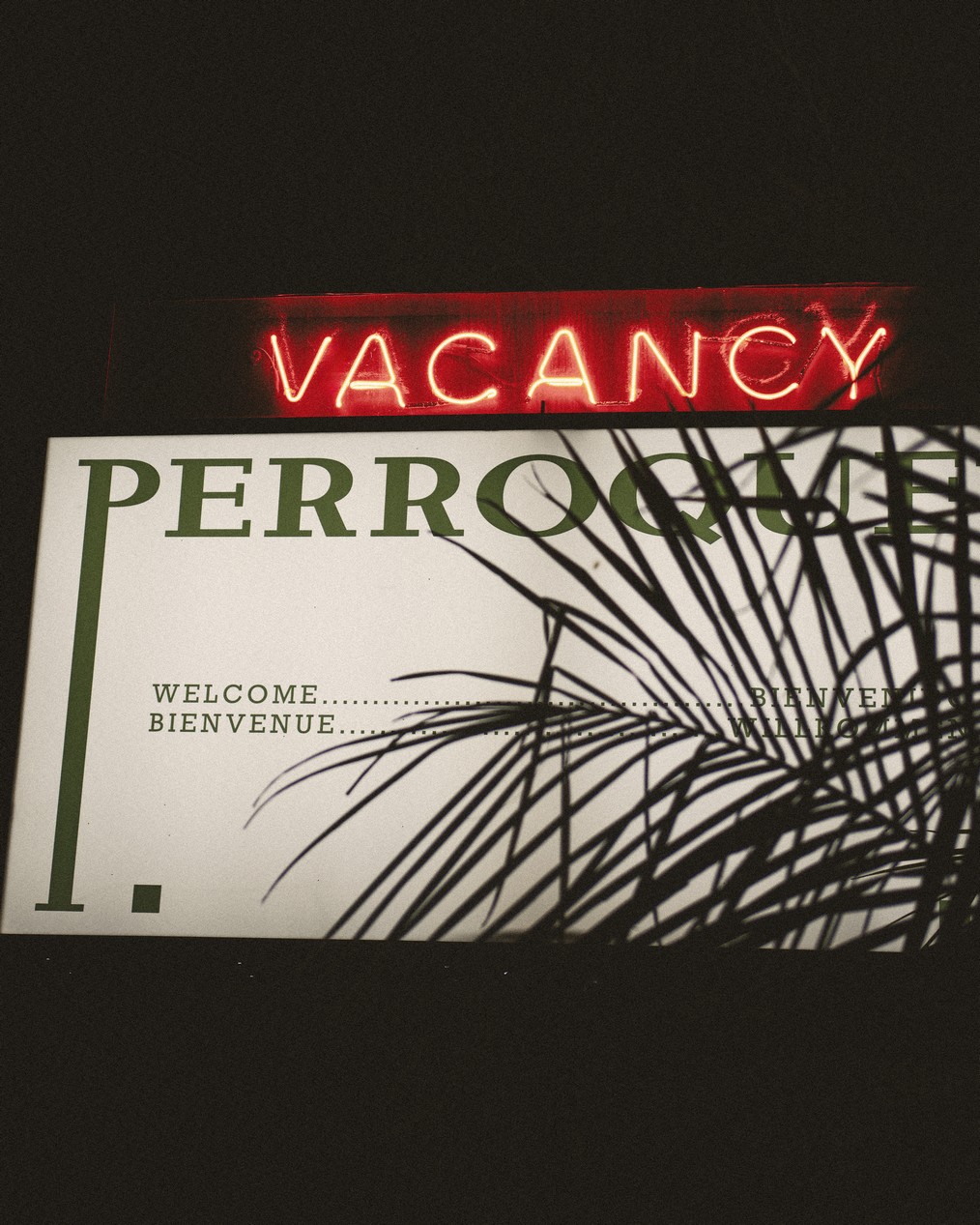 perroquet motel 55