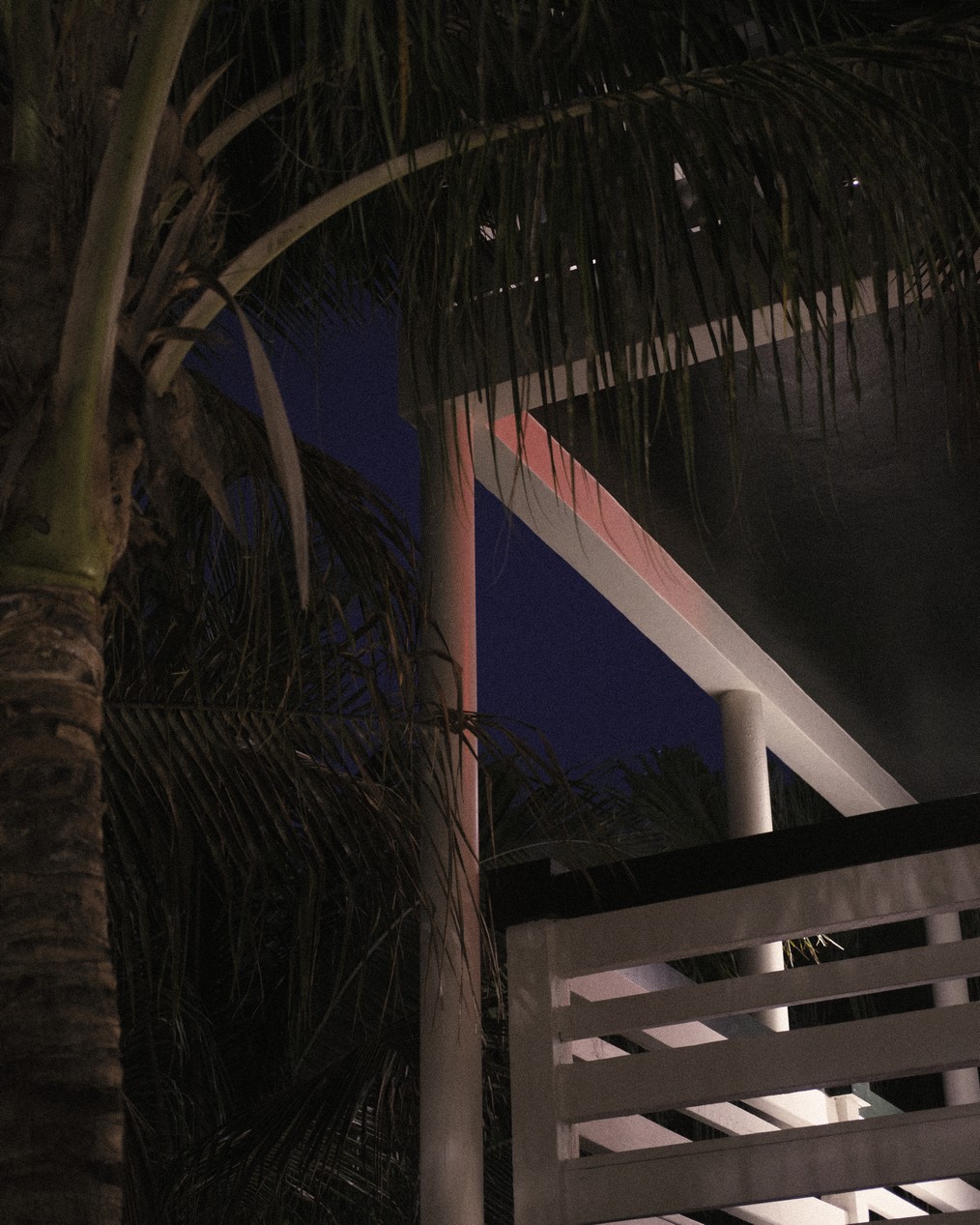 perroquet motel 56