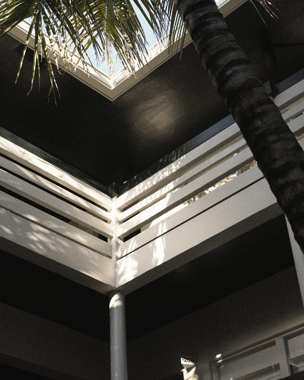 perroquet motel 60