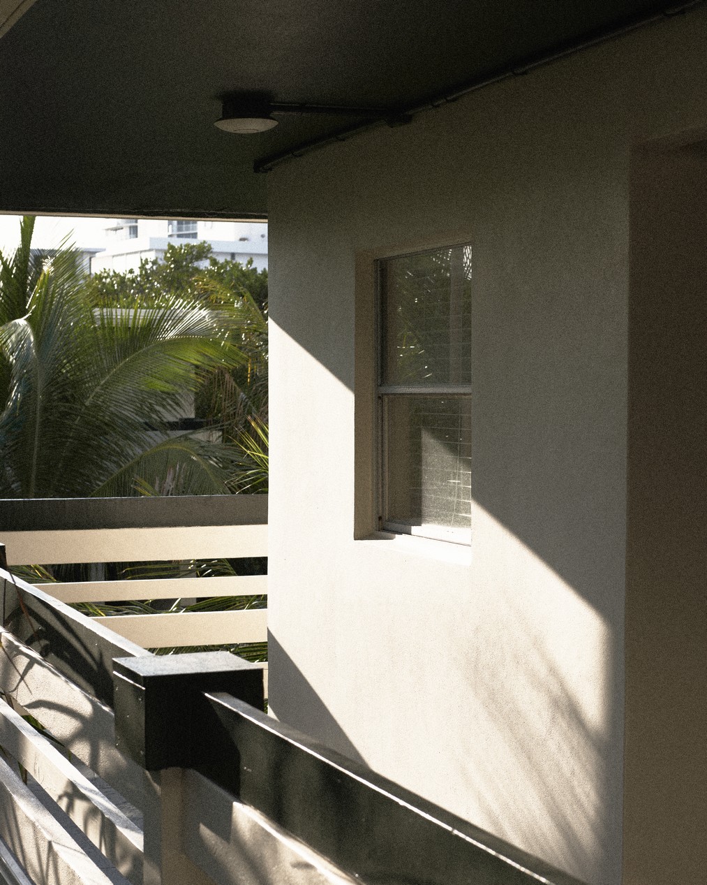 perroquet motel 62