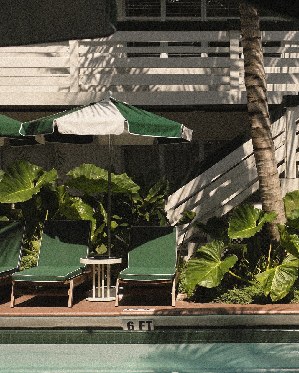 perroquet motel 8