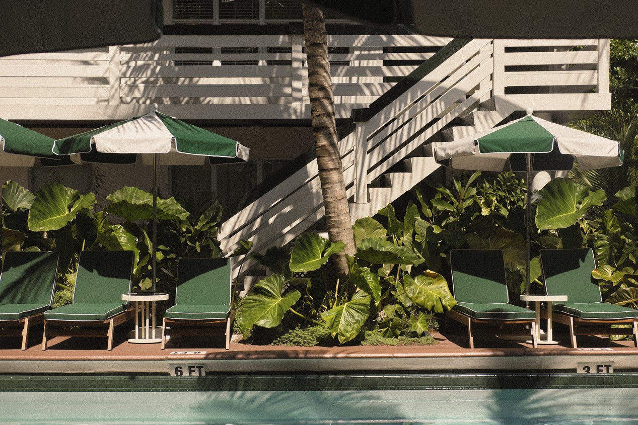 perroquet motel 9