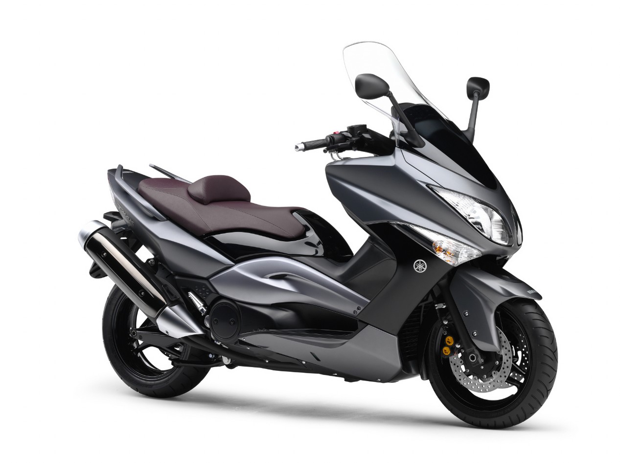 tmax 2008 gris