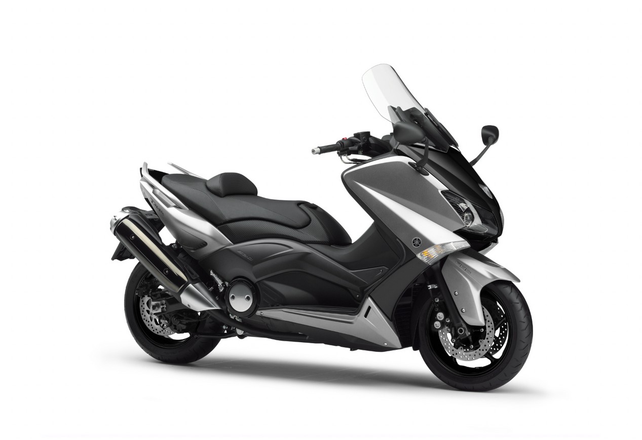 tmax 2012 gris