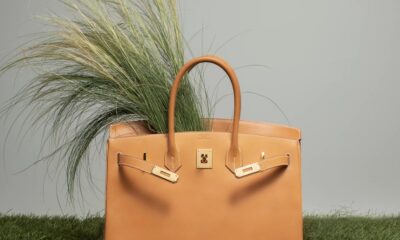 Sac Birkin Hermes DR