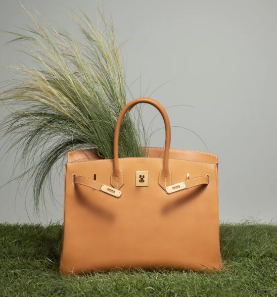 Sac Birkin Hermes DR