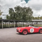AC Cobra 01
