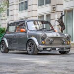 Mini by Callum 041